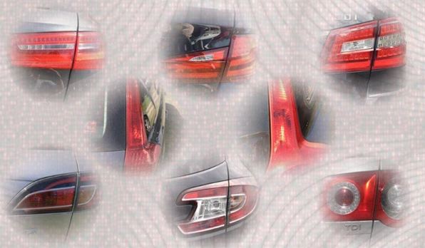 handsome estate rears