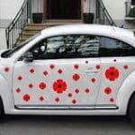 Go Wild With Stickers