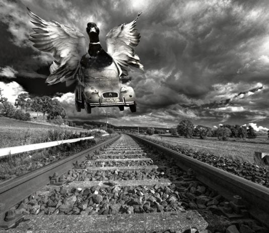 Fly and drive Flying cars