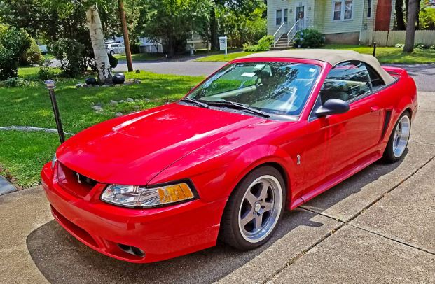 Mustang Cobra Mustang Cobra