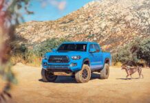 blue toyota tacoma in the desert