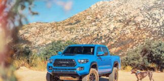 blue toyota tacoma in the desert
